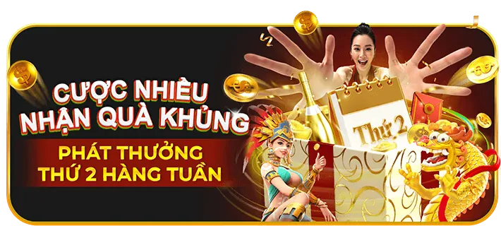 Các chương trình khuyến mãi hấp dẫn từ vf555