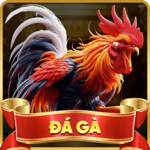 Xổ số online vf555