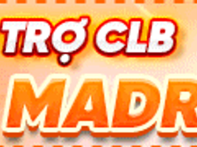 Quy trình báo cáo vi phạm vf555