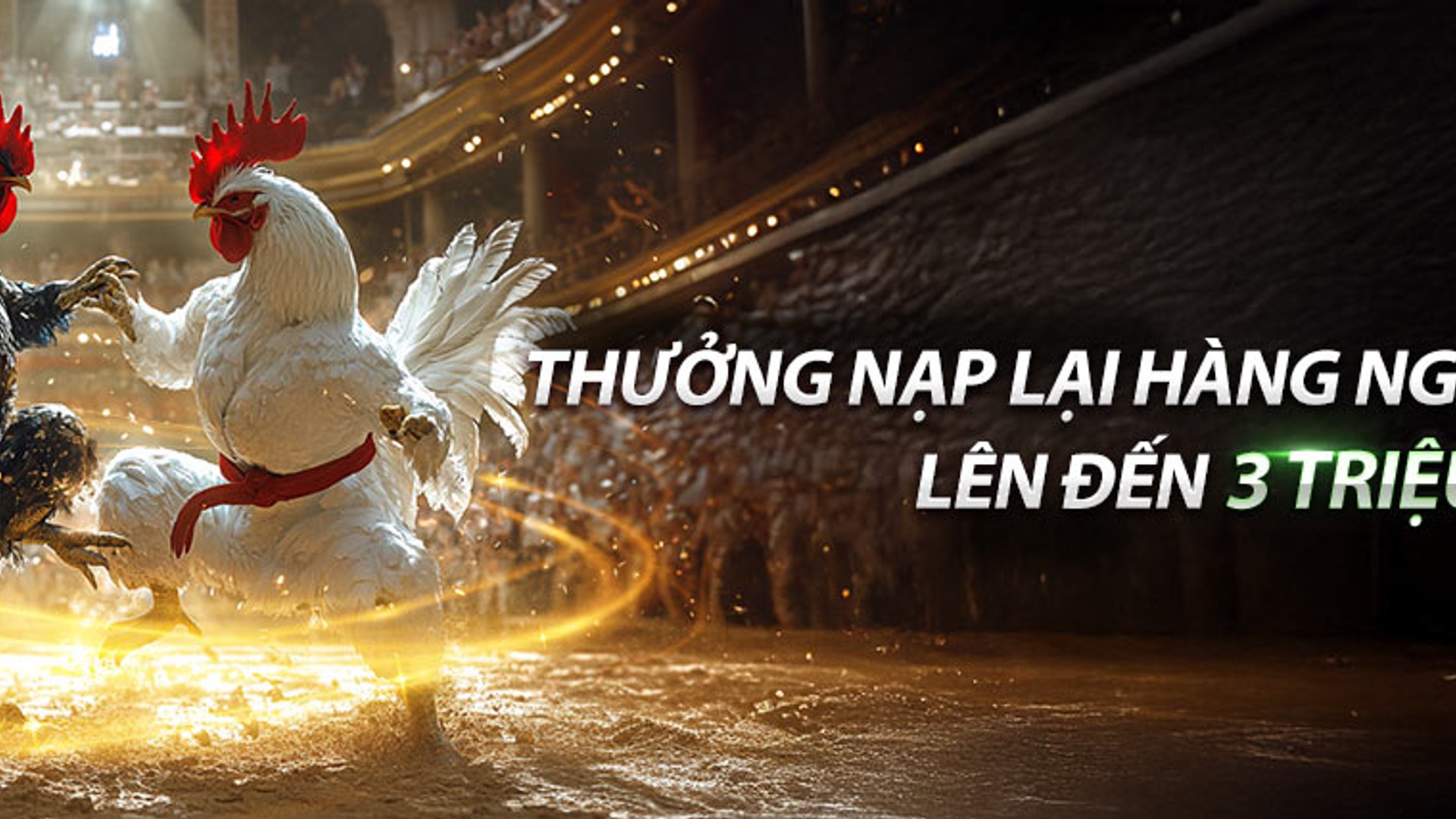 Hoạt động Điểm danh và Hoàn trả vf555