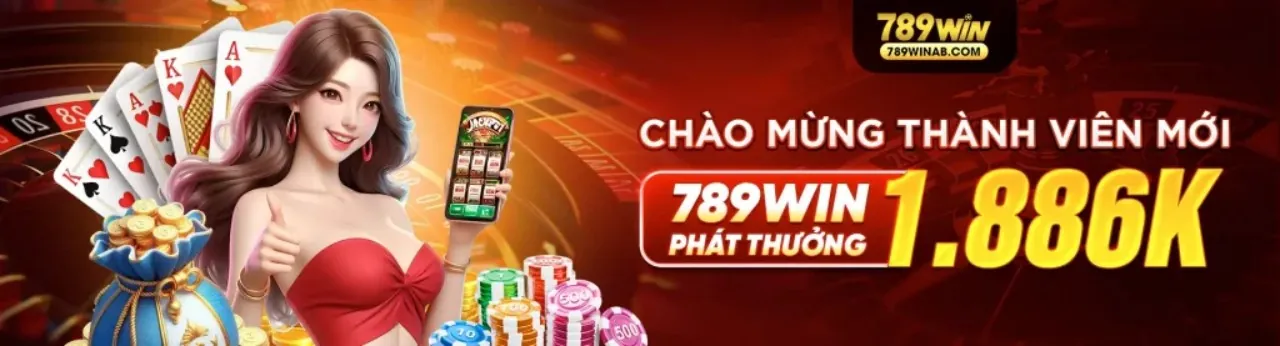 Tổng quan về vf555 và các dịch vụ cung cấp