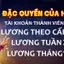 Ưu đãi Độc quyền dành cho thành viên vf555