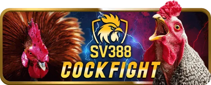 Các chương trình khuyến mãi vf555