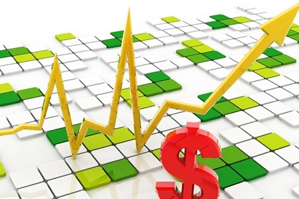 Người đang phân tích các tỷ lệ kèo