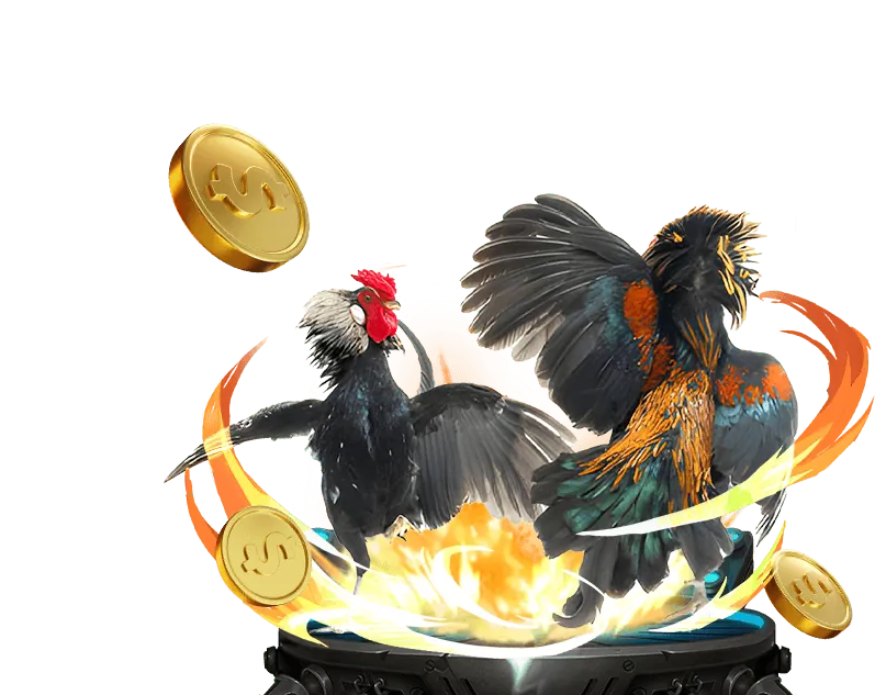 Người chơi đang tận hưởng trò Bắn cá vf555 hoặc Đá gà vf555